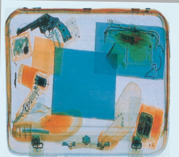 Airport security